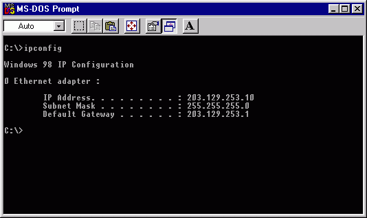 Windows 98 ipconfig DOS box
